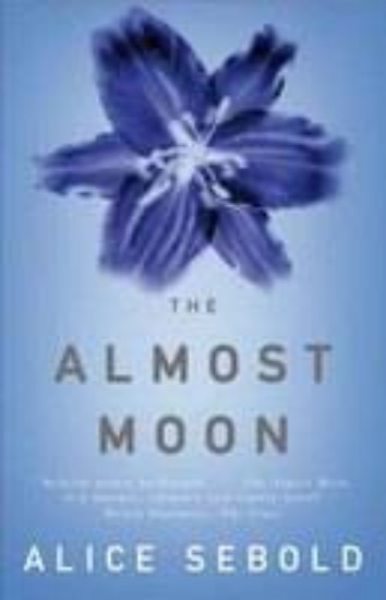 Picture of Almost Moon