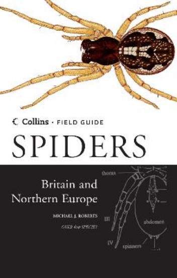 Picture of Spiders of Britain and Northern Europe (Collins Field Guide)