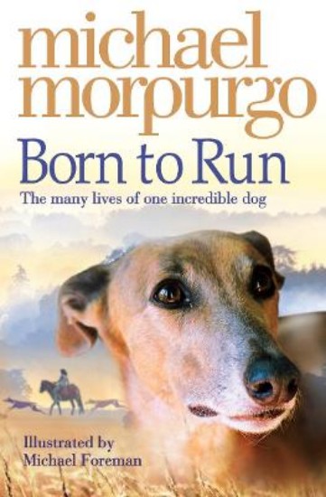 Picture of Born to Run