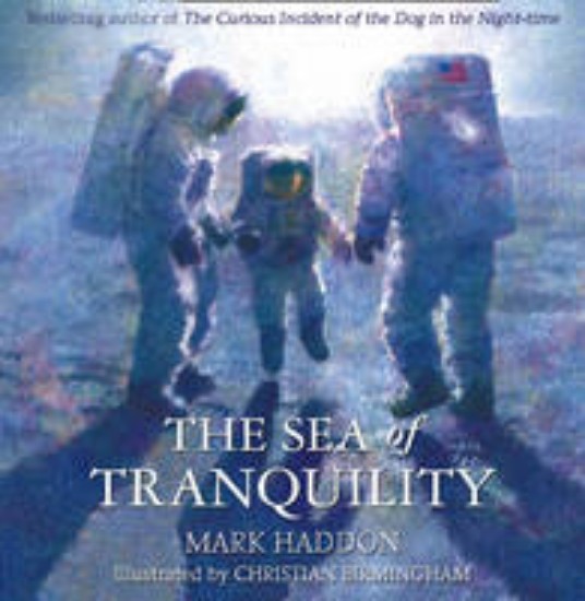 Picture of Sea of Tranquility