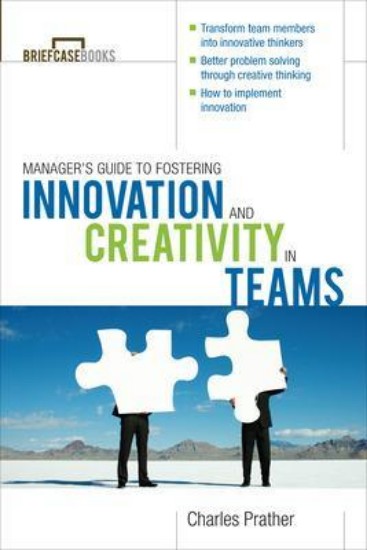 Picture of Manager's Guide to Fostering Innovation and Creativity in Teams