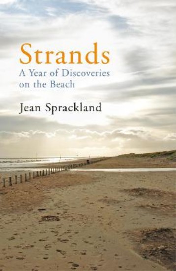 Picture of Strands: A Year of Discoveries on the Beach