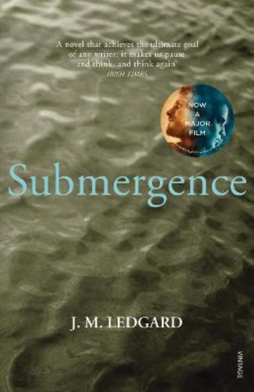 Picture of Submergence