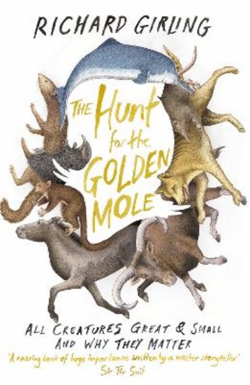Picture of Hunt for the Golden Mole: All Creatures Great and Small, and Why They Matter