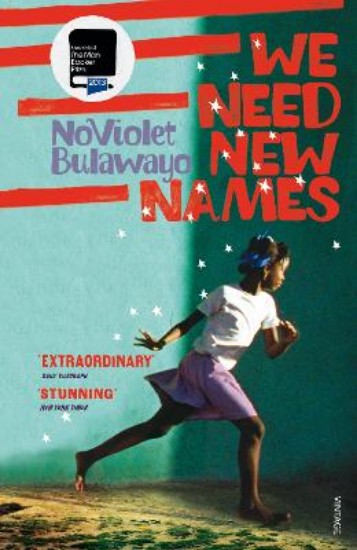 Picture of We Need New Names