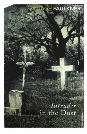 Picture of Intruder in the Dust