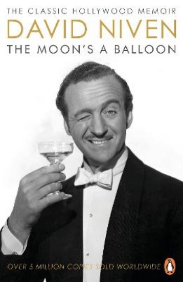 Picture of Moon's a Balloon