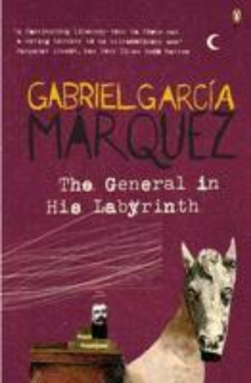 Picture of General in His Labyrinth
