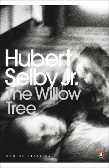 Picture of Willow Tree