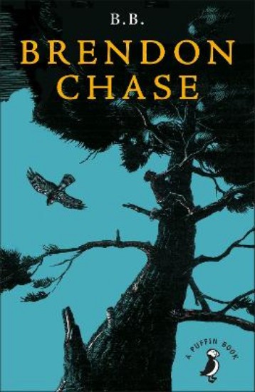 Picture of Brendon Chase