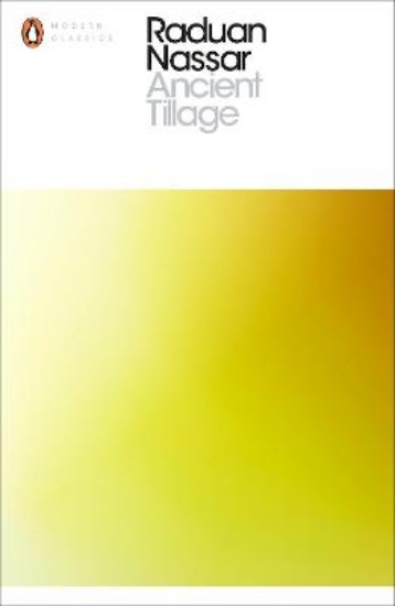 Picture of Ancient Tillage
