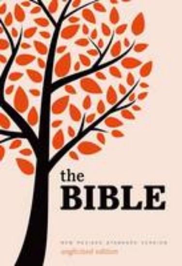 Picture of Holy Bible:NRSV