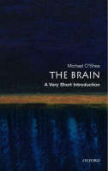 Picture of Brain: A Very Short Introduction