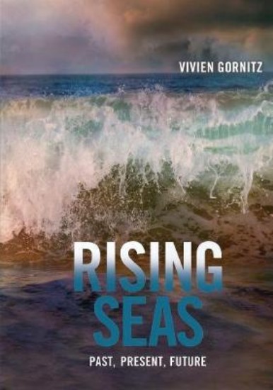 Picture of Rising Seas