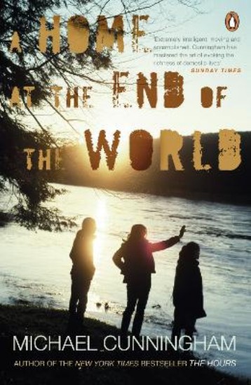 Picture of Home at the End of the World