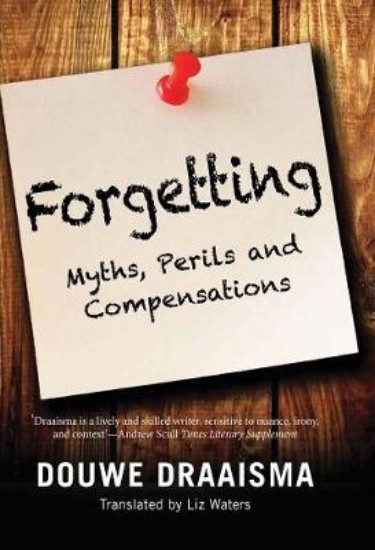 Picture of Forgetting: Myths, Perils and Compensations