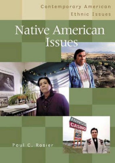 Picture of Native American Issues