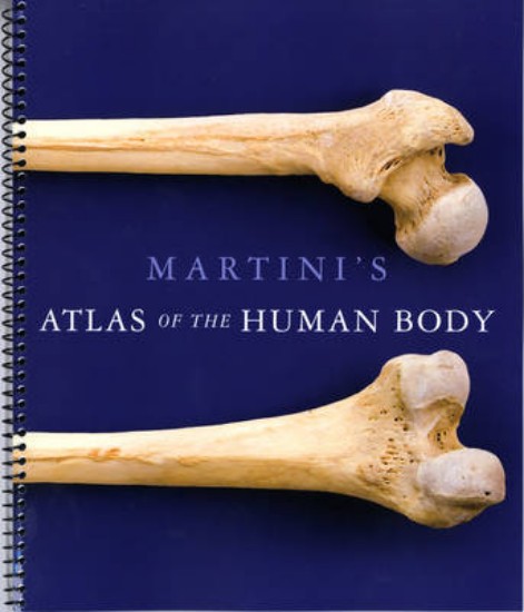 Picture of Martini's Atlas of the Human Body (ME Component)