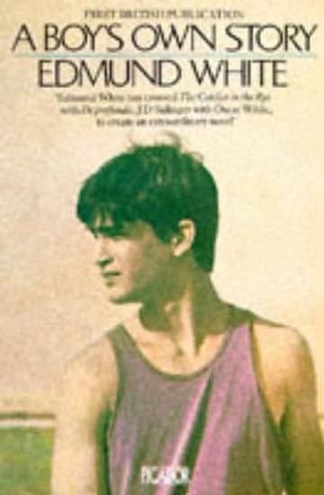 Picture of Boy's Own Story