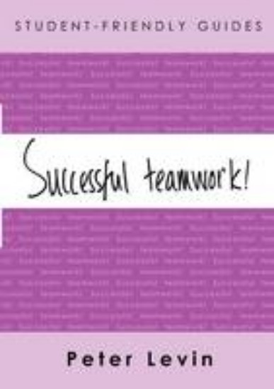 Picture of Successful Teamwork