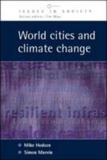 Picture of World Cities and Climate Change: Producing Urban Ecological Security