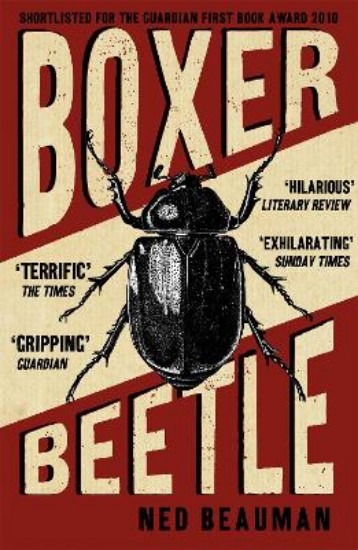 Picture of Boxer, Beetle