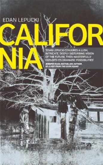 Picture of California
