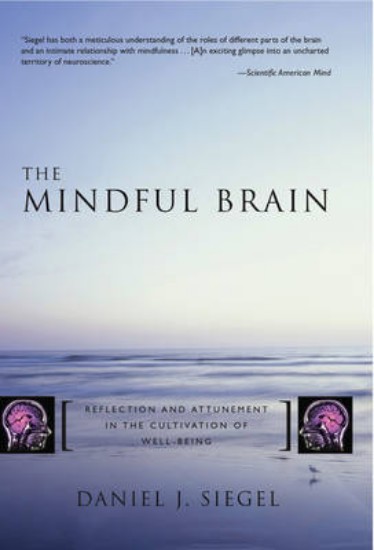 Picture of Mindful Brain in Human Development: Reflection and Attunement in the Cultivation of Well-being