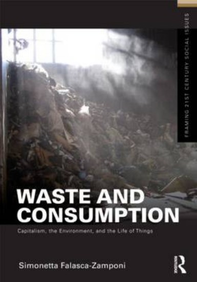 Picture of Waste And Consumption