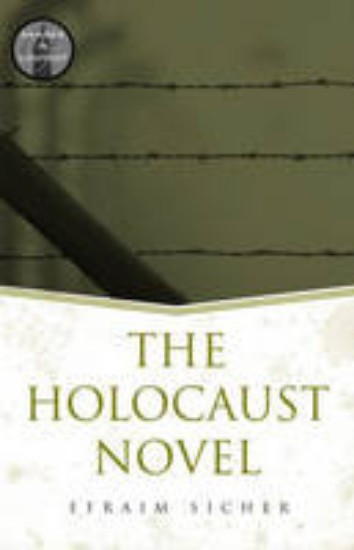 Picture of Holocaust Novel