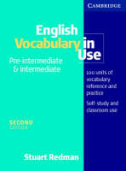 Picture of English Vocabulary in Use pre-intermediate and intermediate
