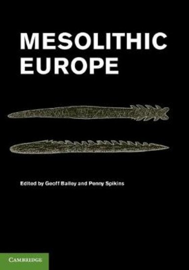 Picture of Mesolithic Europe