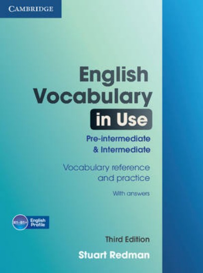 Picture of English Vocabulary in Use Pre-intermediate and Intermediate