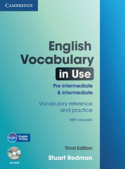Picture of English Vocabulary in Use Pre-intermediate and Intermediate
