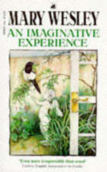 Picture of Imaginative Experience