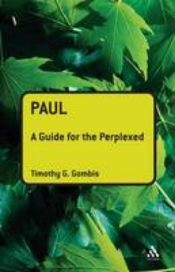 Picture of Paul: Guide for the Perplexed