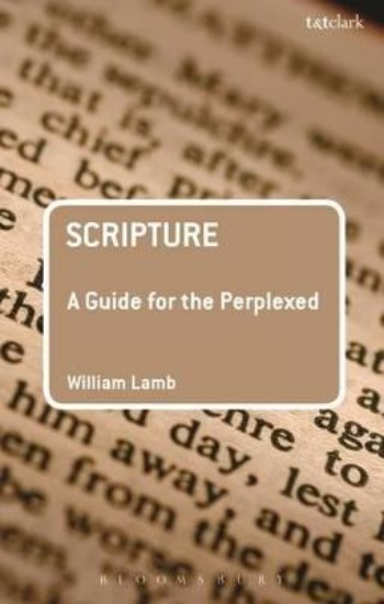 Picture of Scripture: A Guide for the Perplexed