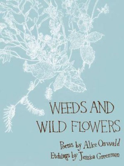Picture of Weeds And Wild Flowers