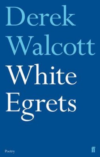 Picture of White Egrets