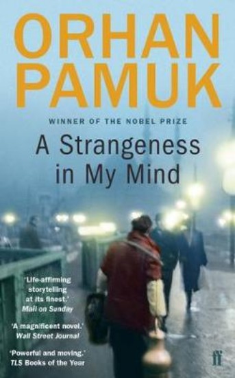 Picture of Strangeness in My Mind