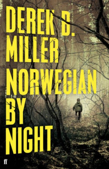 Picture of Norwegian by Night