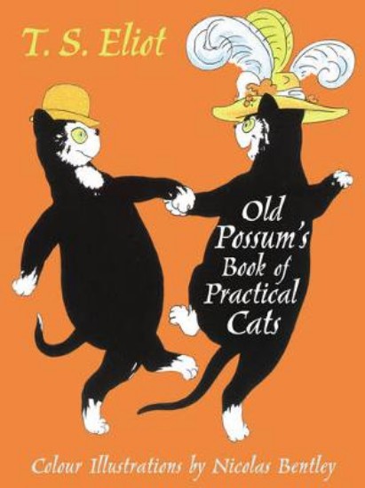 Picture of Illustrated Old Possum