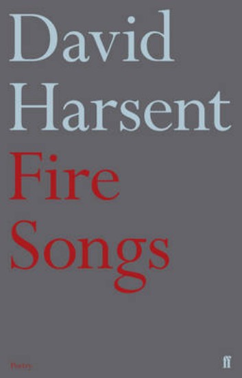 Picture of Fire Songs