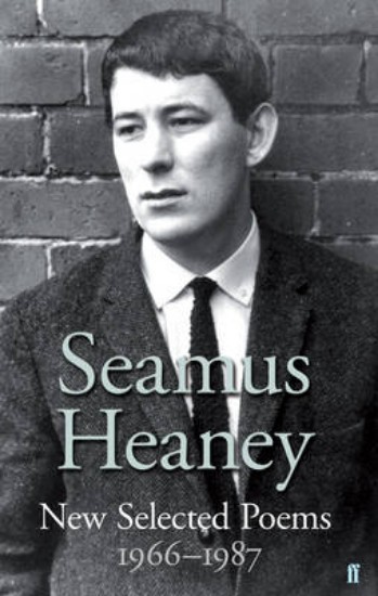 Picture of New and Selected Poems 1966-1987