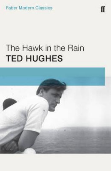 Picture of Hawk in the Rain