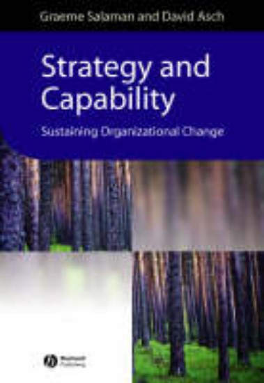 Picture of Strategy & capability