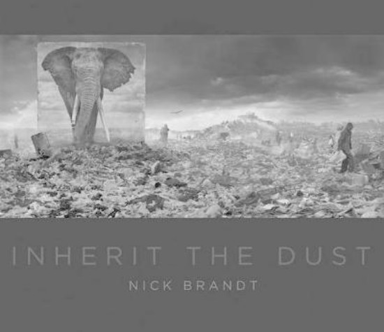 Picture of Nick Brandt: Inherit the Dust