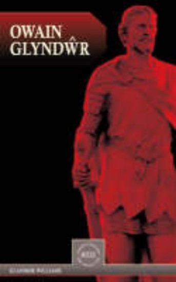 Picture of Owain Glyndwr