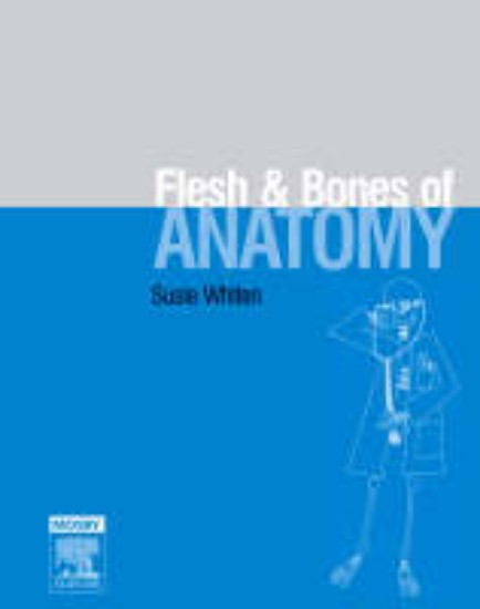 Picture of Flesh and Bones of Anatomy