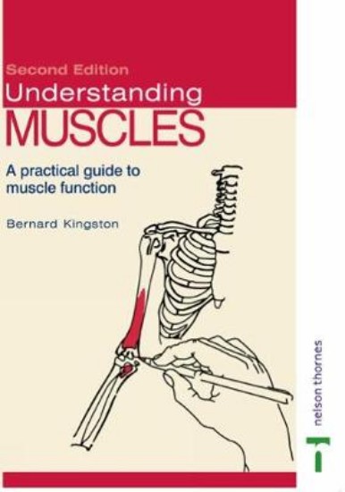 Picture of Understanding Muscles